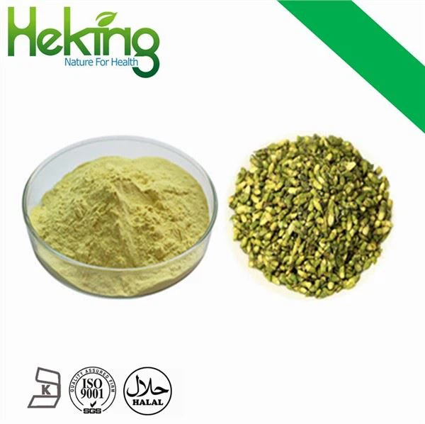 Quercetin Özü