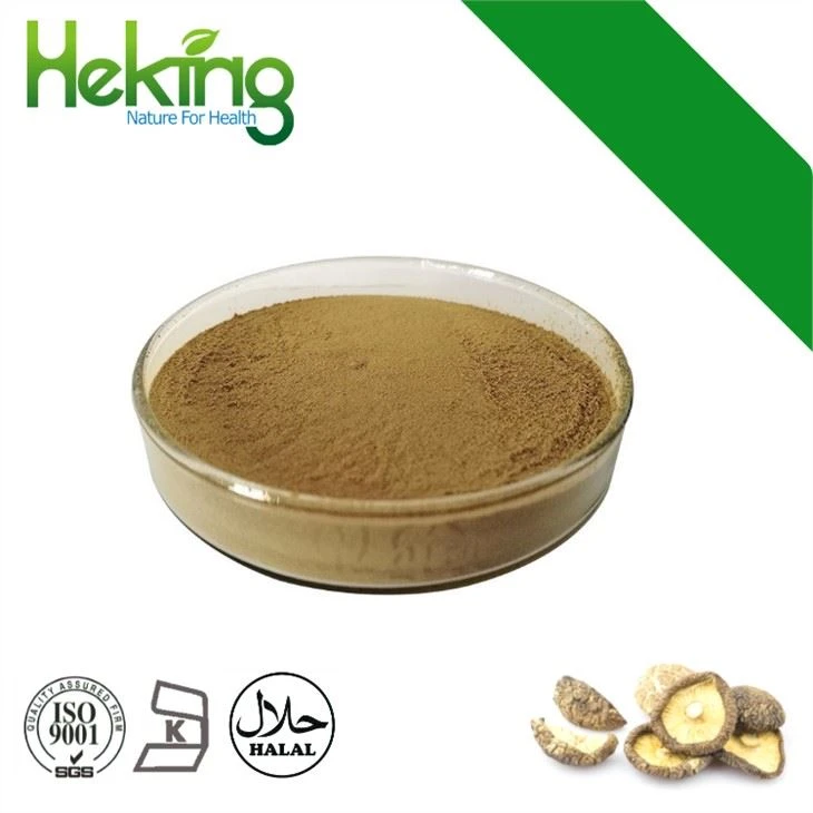Shiitake Mantar Tozu